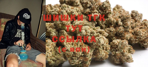 бошки Алексин