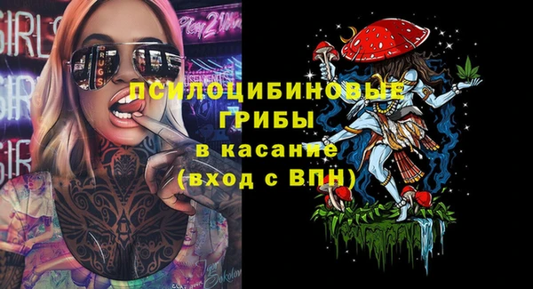 соль курить ск Алзамай