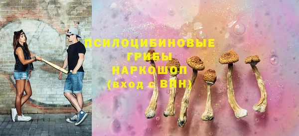 бошки Алексин