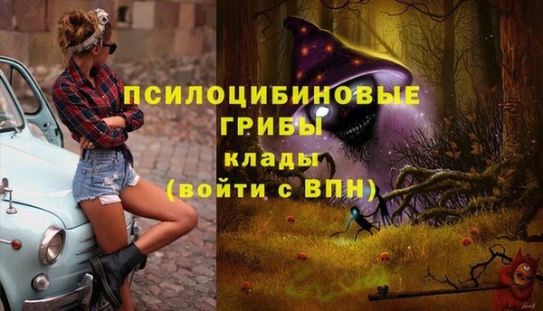 герыч Приозерск