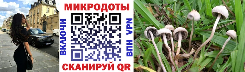 Псилоцибиновые грибы прущие грибы  где можно купить наркотик  Саянск 