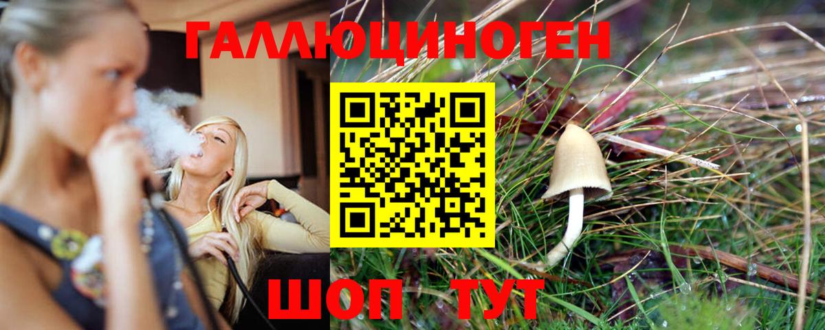 Галлюциногенные грибы Psilocybine cubensis Саянск