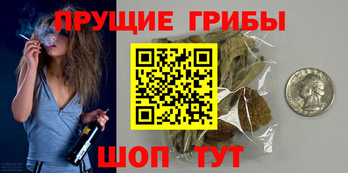 Саянск  Галлюциногенные грибы Psilocybine cubensis  Вход с VPN 