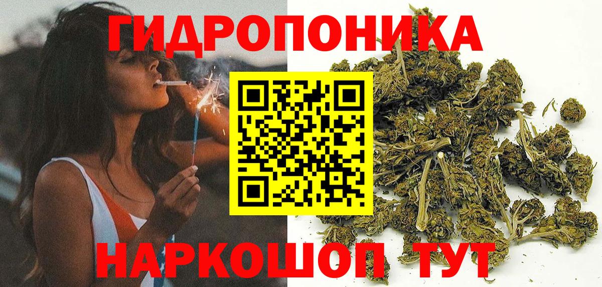 Каннабис план  Вход с VPN  Бошки марихуана LSD WEED  Конопля ГИДРОПОН  Саянск  Канабис планчик 
